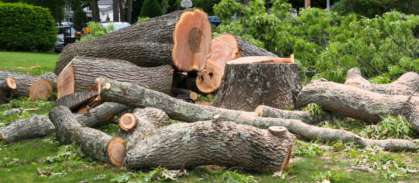 Seasonal Cleanup in Whiting, WI