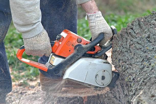 Best Seasonal Cleanup  in Whiting, WI