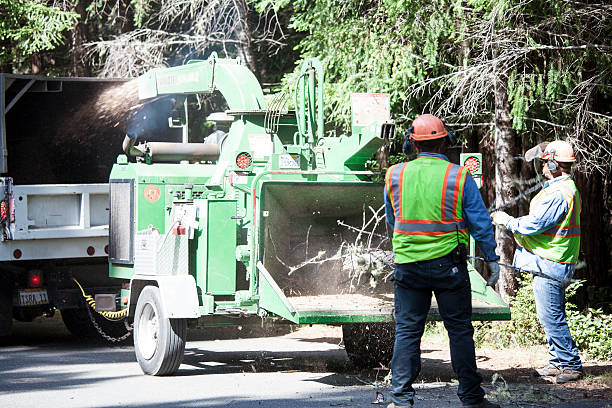 Best Utility Line Clearance  in Whiting, WI